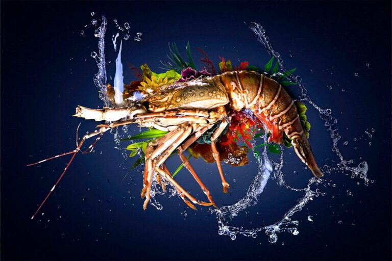 Sealife artwork lobster
