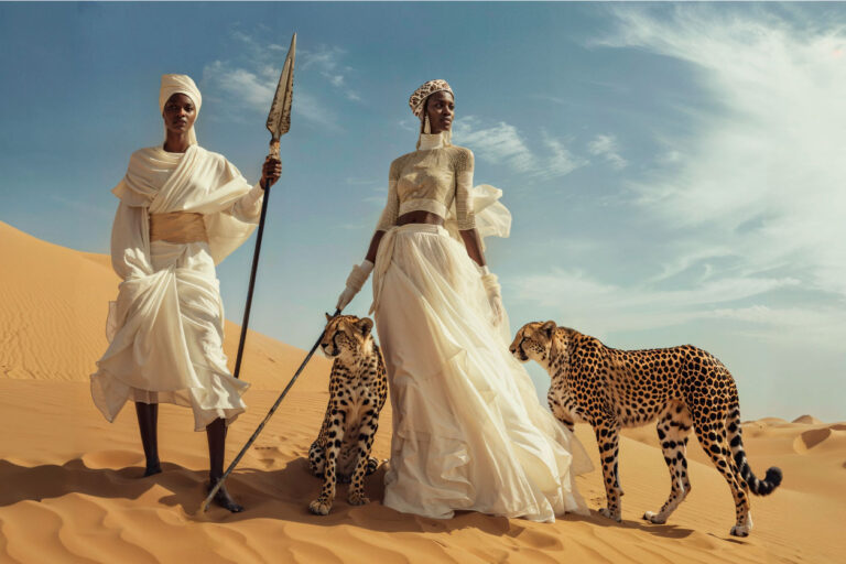 Plexiglass art cheetah and African culture